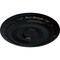 Ekena Millwork Caputo Ceiling Medallion (Fits Canopies up to 6"), Hand-Painted Black Pearl, 24 1/4"OD x 1 1/2"P CM24CABPS - alternate 2
